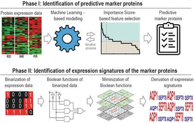 A Boolean-based machine learning framework identifies predictive biomarkers of HSP90-targeted therapy response in prostate cancer